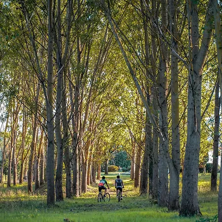 Viesca & Il Borro Toscana リゾート 3*
