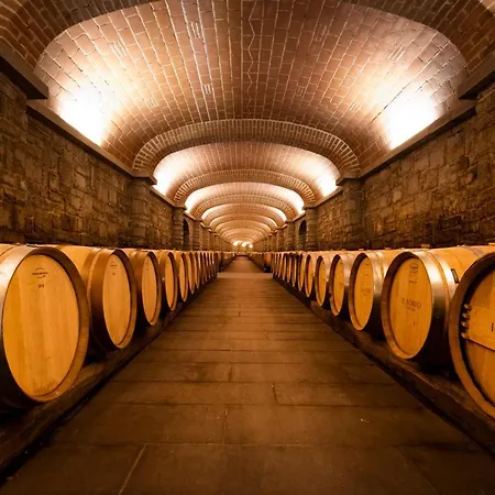 Rezort Viesca & Il Borro Toscana 3*